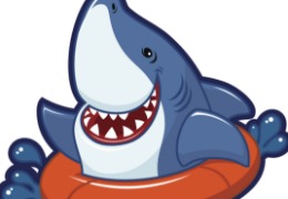 食品原料小百科：硫酸軟骨素可以用在什么地方？